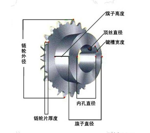 貉子皮与步进电机链条传动误差大吗