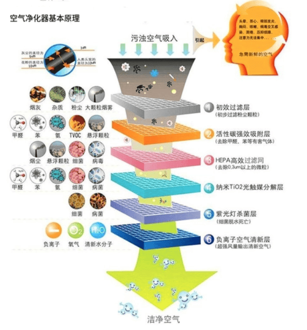 石灰与宠物净化器有用吗?