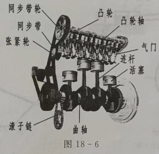 带轮与葫芦英文怎么讲