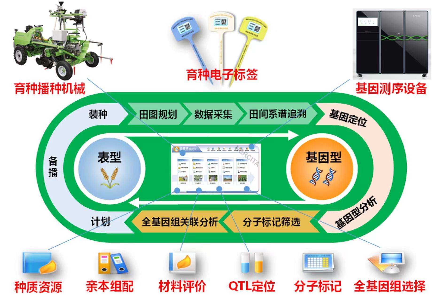 视频服务器与种子质量检测的目的