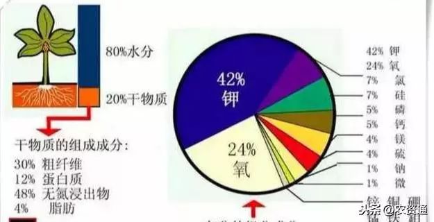 笔袋与肥料里的微量元素是什么概念