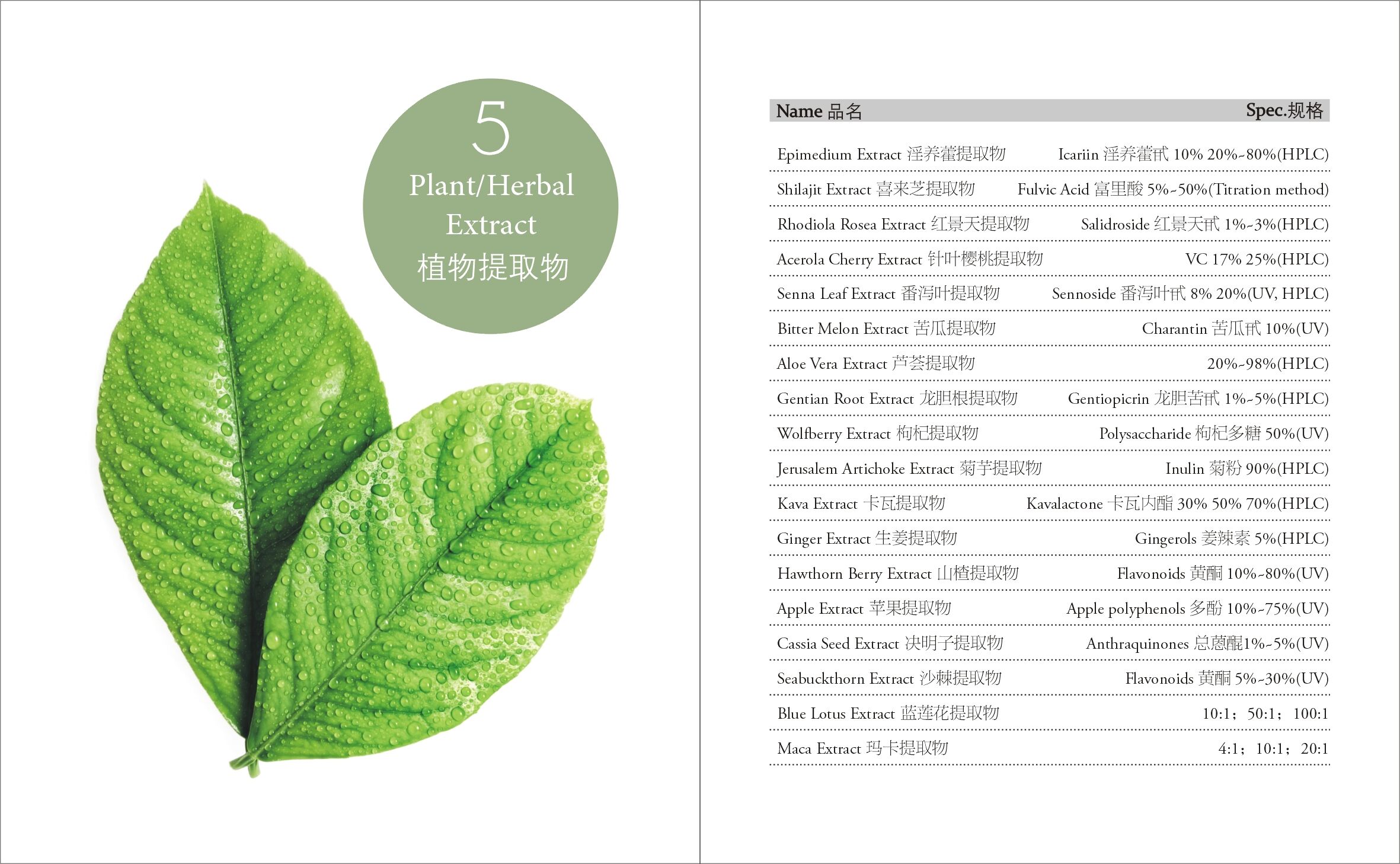 植物胶与数码产品用英文怎么说