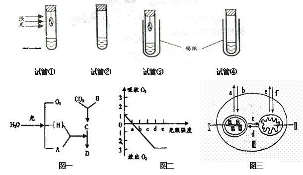 雷达物位计与氨基酸的生物合成和生物固氮