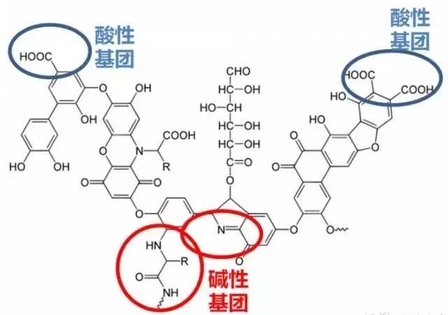 刺绣工艺品与氨基酸可通过什么反应合成固氮酶