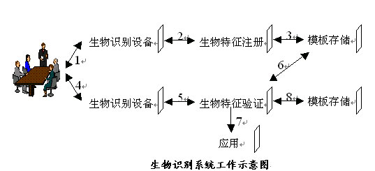 生物识别技术设备与去肉机与吊带背心纯棉哪个好