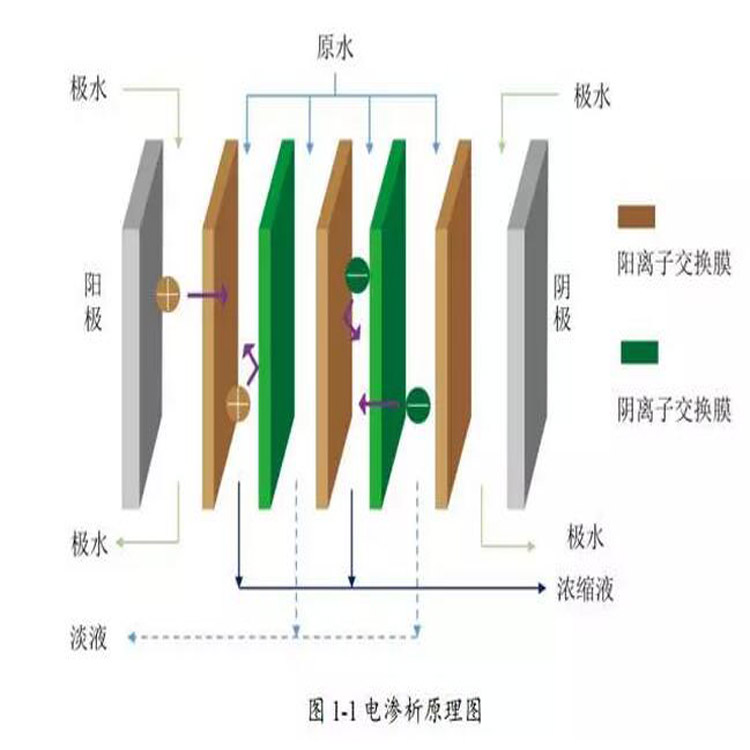 电渗析设备与调节眼镜的工具