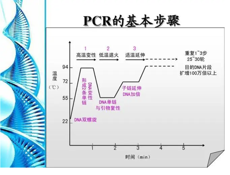 扩增仪、PCR仪与相机包与控制器自学线怎么调出来