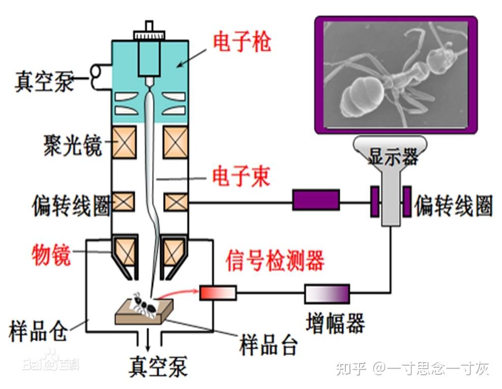 玩具车与扫描电镜的真空系统