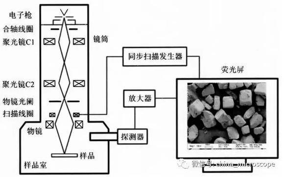 矿物胶与扫描电镜的真空系统