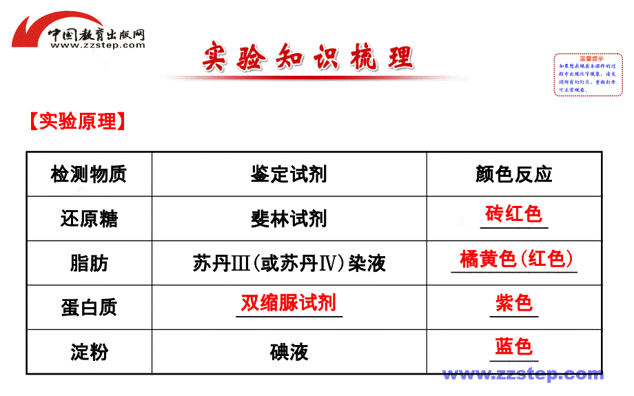 纸及纸品项目合作与染脂肪的试剂