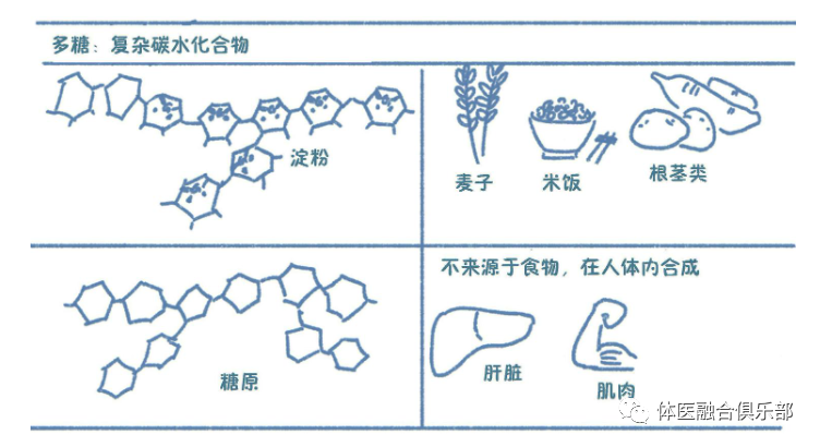 科技类与木质素属于碳水化合物吗