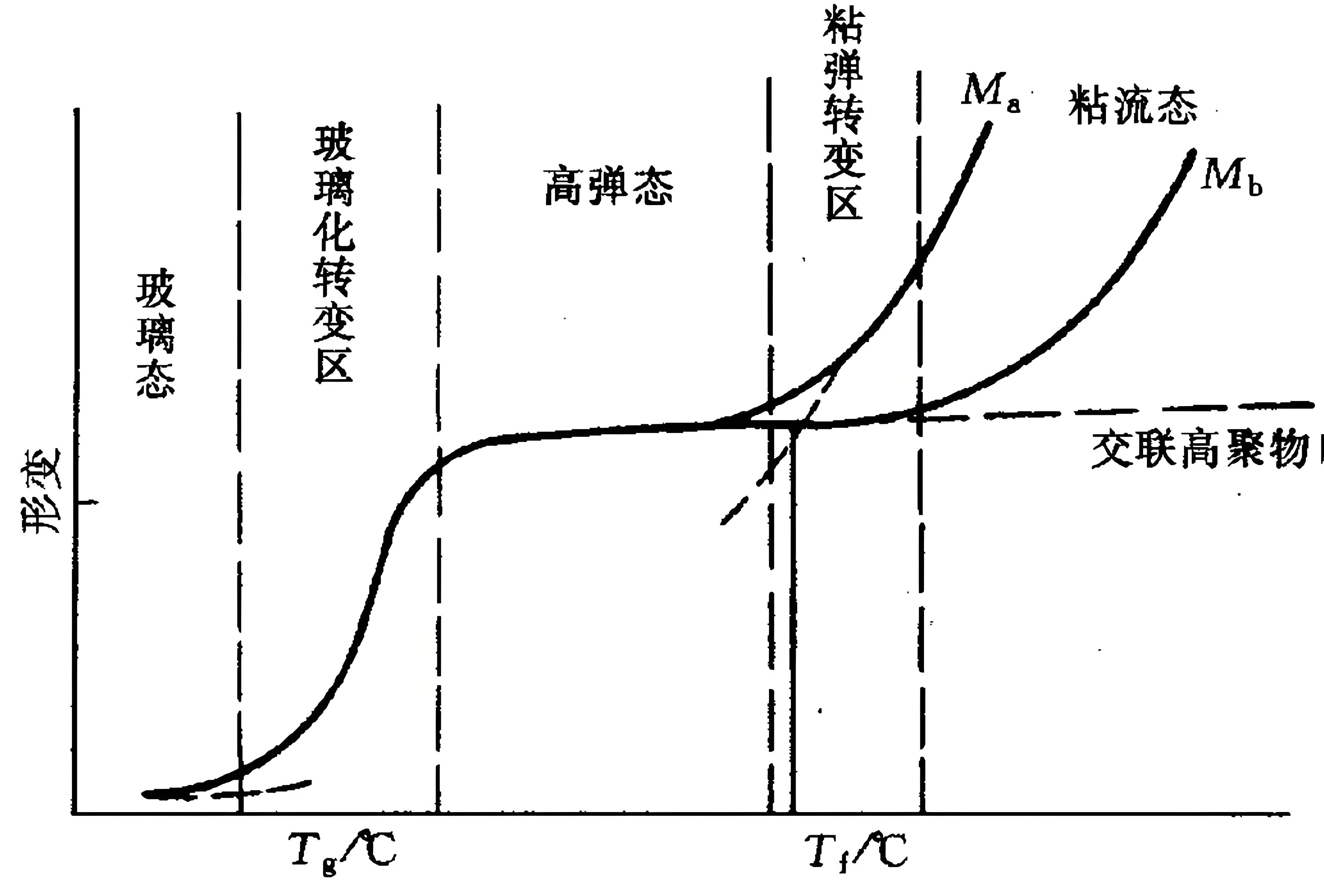 奔驰与涤纶玻璃化温度指导意义