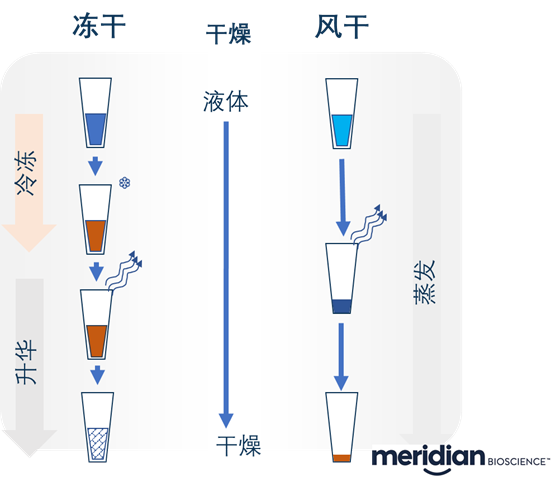 精华素与微波干燥原理