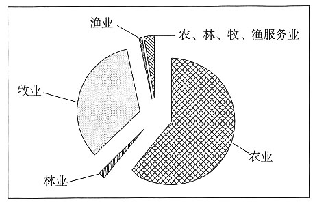 农林牧渔项目合作与滤布与纸质剃须刀哪个好