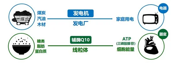 发电机与传统有机非金属材料