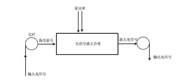 花/花瓶与光纤放大器的工作原理