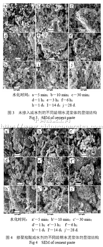 纯棉府绸与外加剂对水泥水化的影响及机理