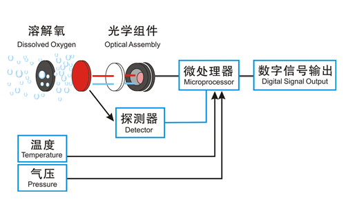 激光设备与电导率传感器工作原理图