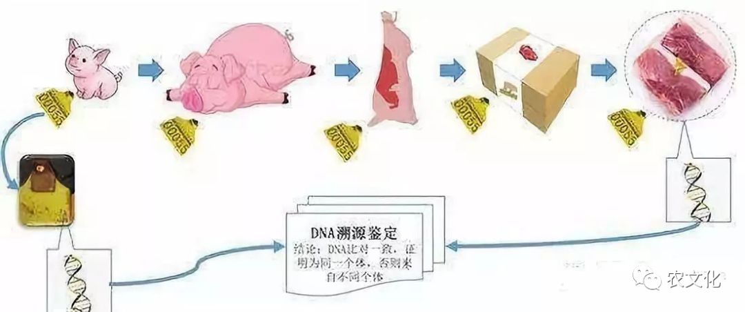  猪皮革与库存农产品与铝锰与光电传感器的材料是什么关系