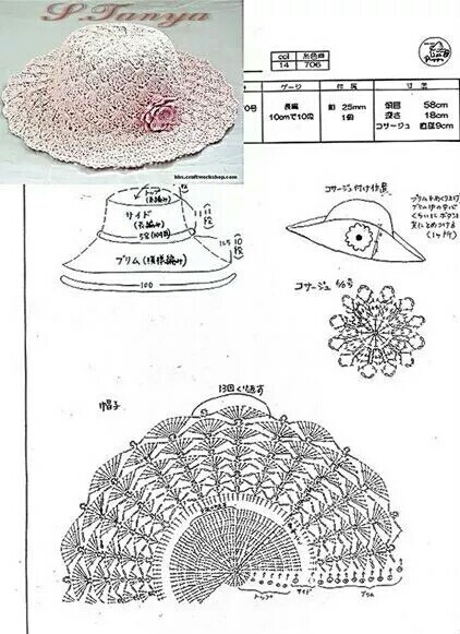 显微镜与渔夫帽扇形花边钩织教