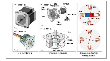 珊瑚与微型电机工作原理