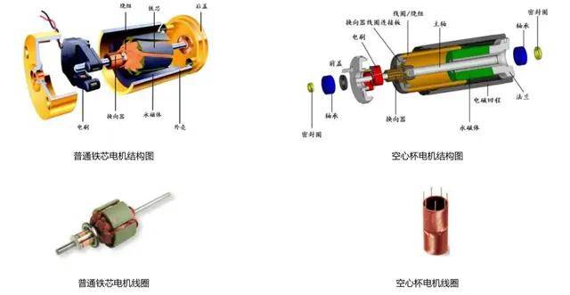 珊瑚与微型电机工作原理