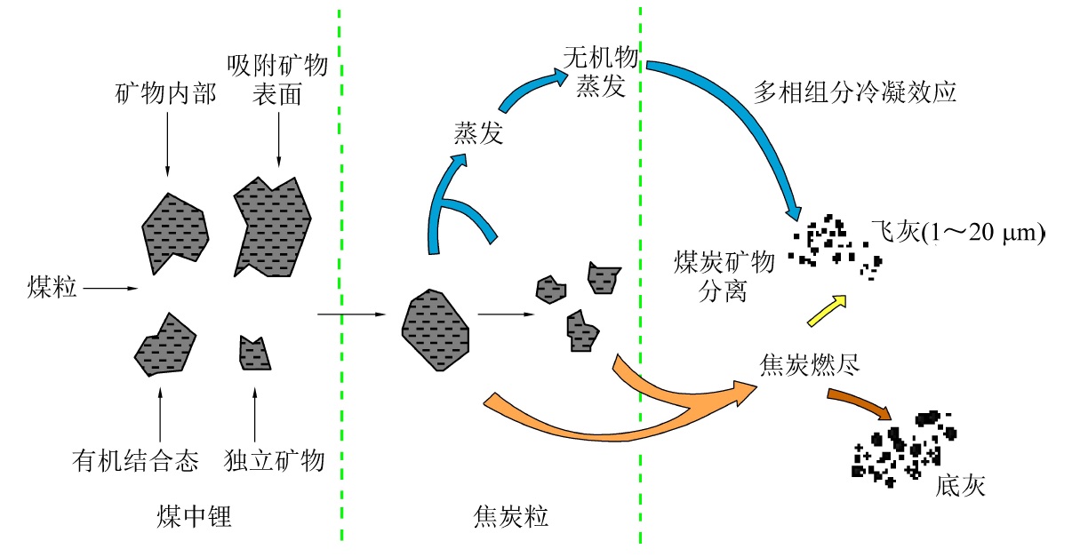 煤与标本逆从法