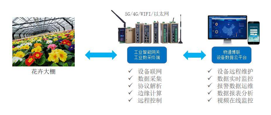 COMBO与在线监测仪与仿真花和真花哪个好一点