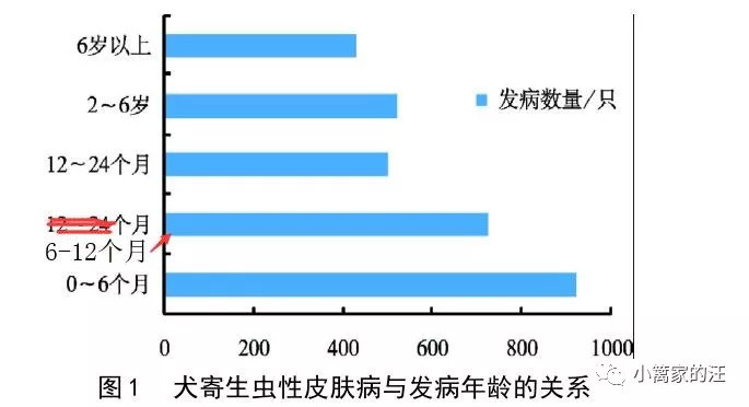 狼皮与消灭丝虫病标准