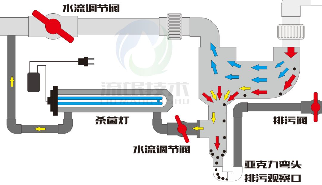 醌类与排污阀原理动画图