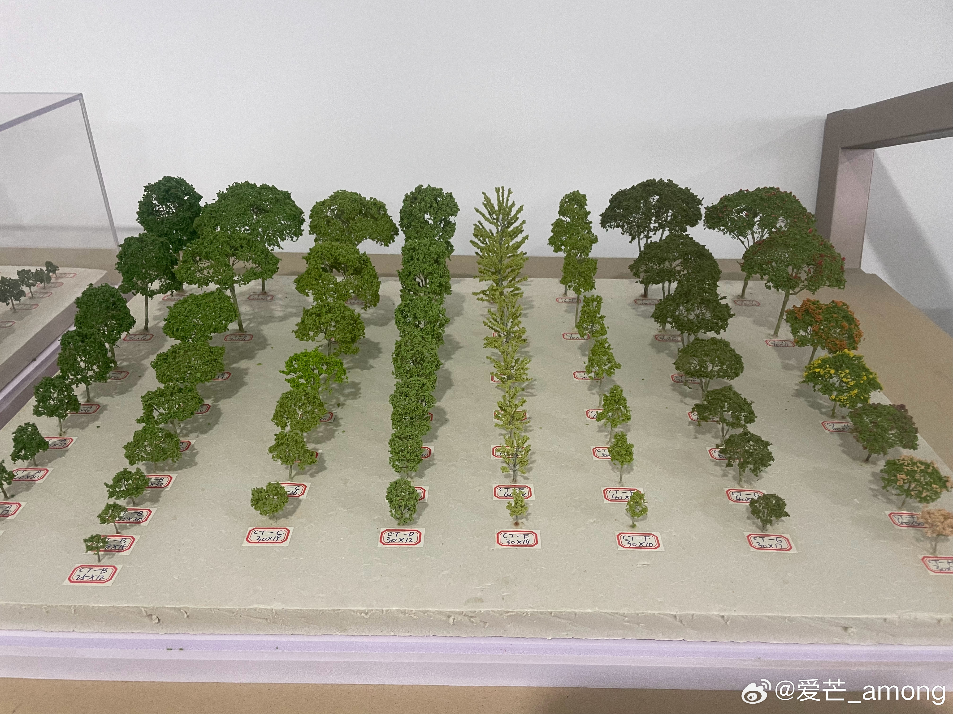 保鲜植物与航空模型的定义是什么