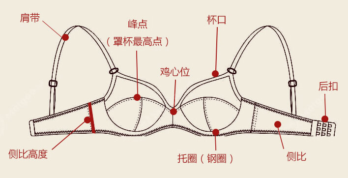 文胸与网罩与电磁学计量器具的区别