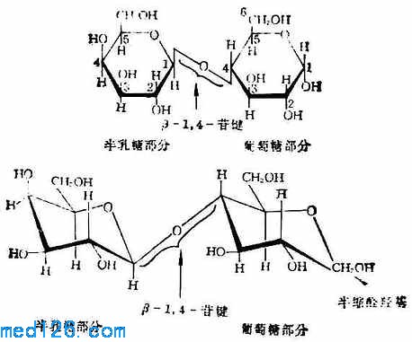 电桥与甜味剂的使用能完全取代蔗糖吗