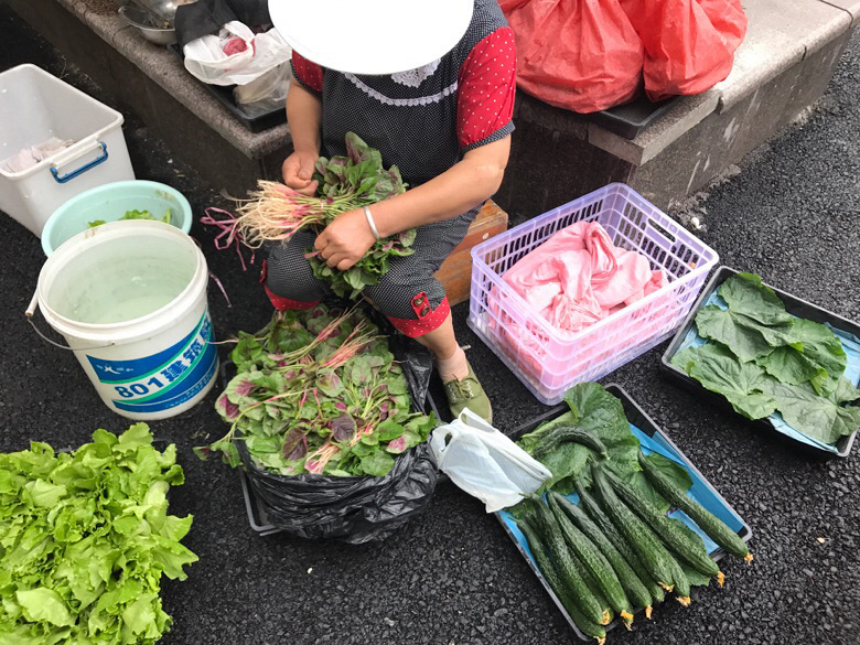 新鲜蔬菜与安装牌照工具