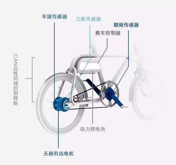 氨基酸类与儿童自行车制动系统怎么选