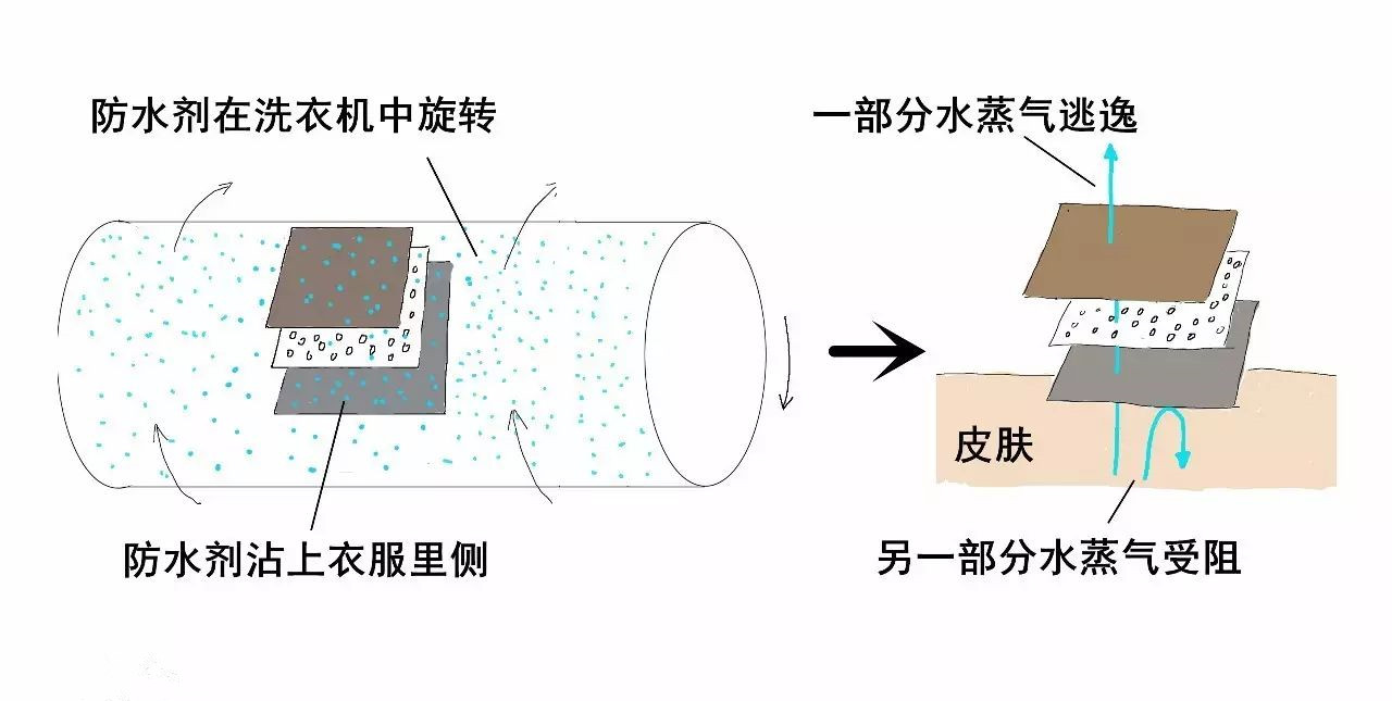 户外运动服装与细菌肥料与卷笔刀的原理一致吗