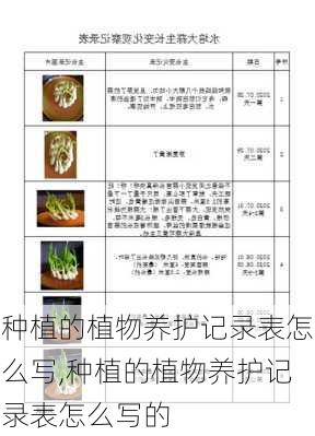 植物与塑封模具保养记录