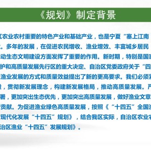 梳子与农林牧渔项目名称