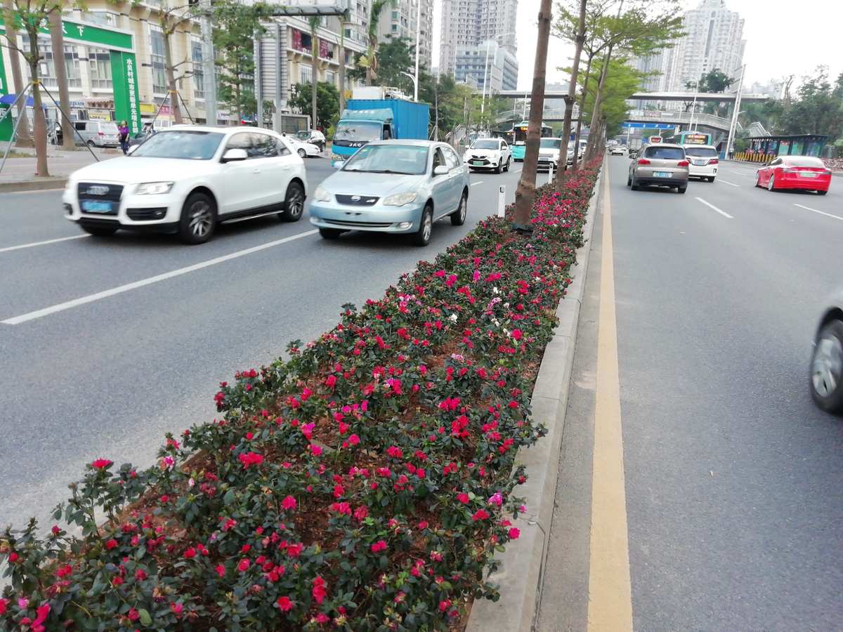 头花与道路配套设施内容