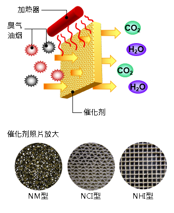 模型与空气净化催化剂的作用