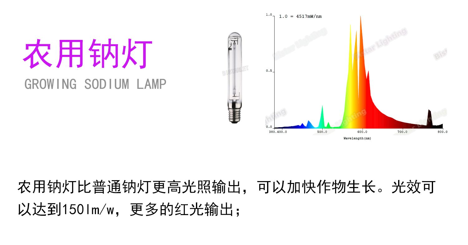 卡片类与农用钠灯和金卤灯给植物补光