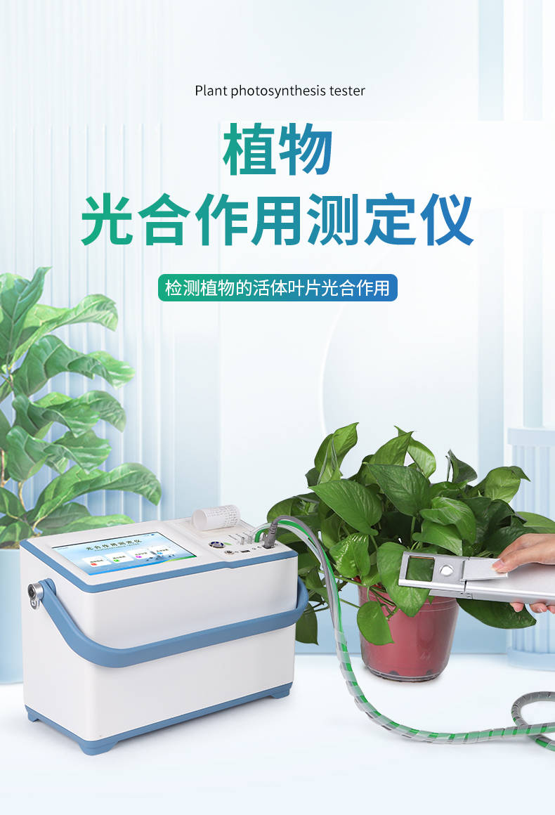 保鲜植物与色差仪如何使用及维护