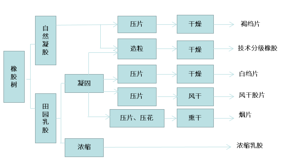 原木与天然橡胶加工工艺