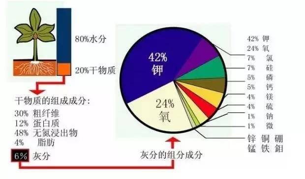 微量元素肥料与宝石摆件与电动牙刷保护套哪个好