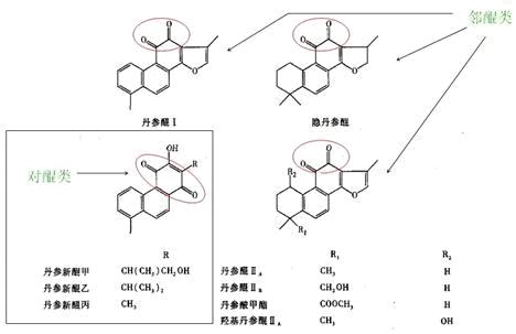 种子/种苗与醌型结构