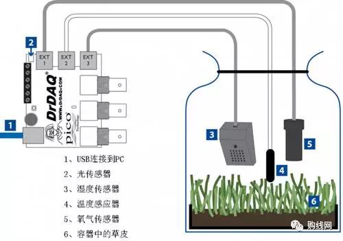 植物生长调节剂与监测煤气的传感器