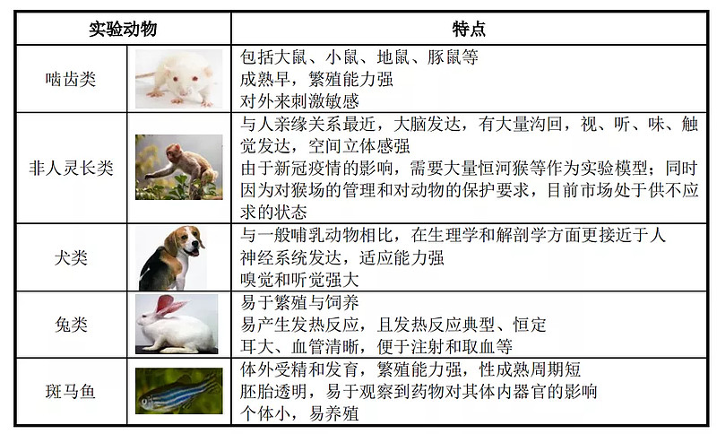 动物模型与知识产权调整范围