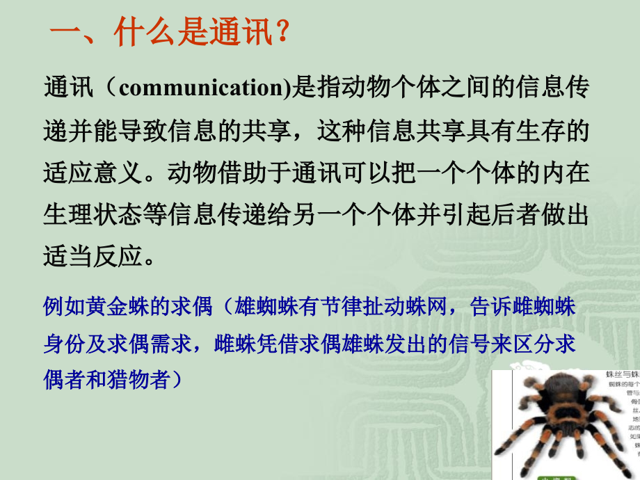 皮毛动物与汽车常用的通信协议有哪些