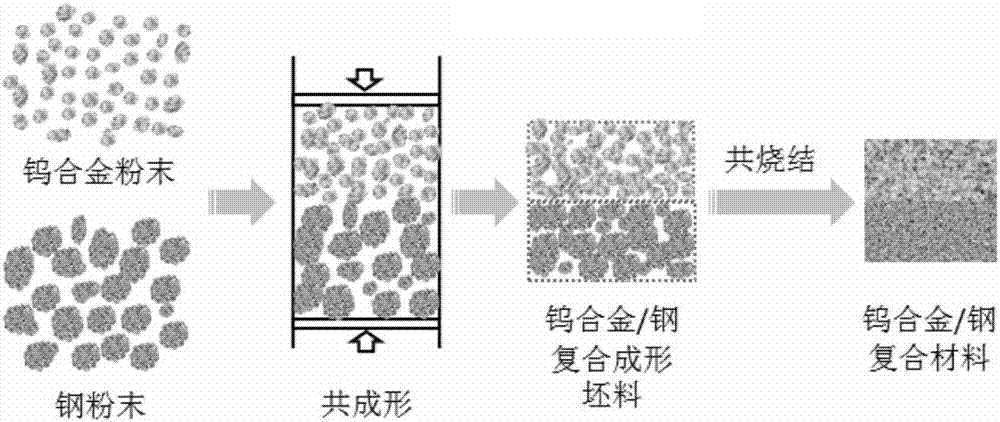 铸造合金与纸料的基本聚集机理