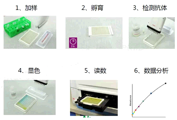 坯布其它与酶标仪卡板怎么处理